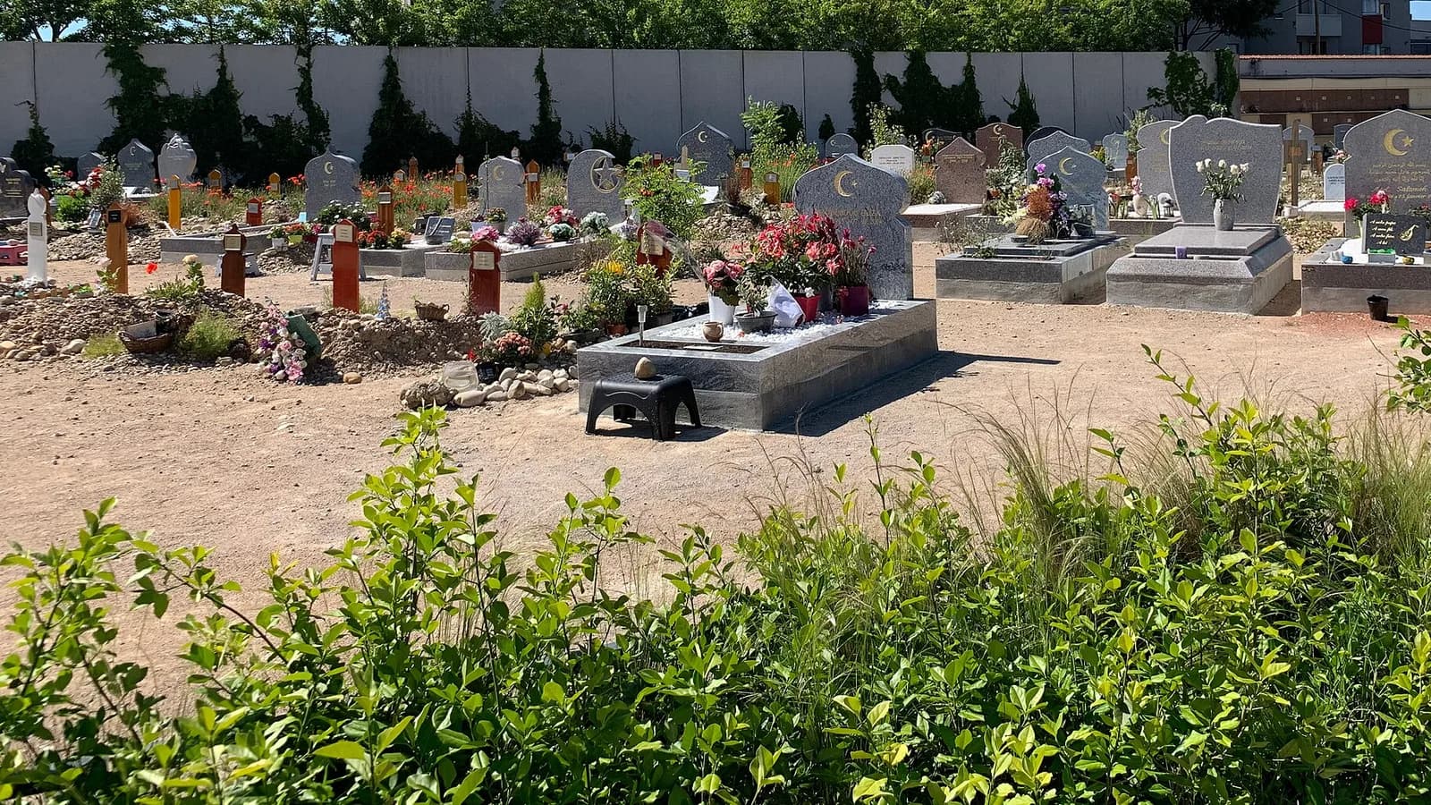 Carré musulman de l’ancien cimetière de Villeurbanne, tombes orientées sous les arbres