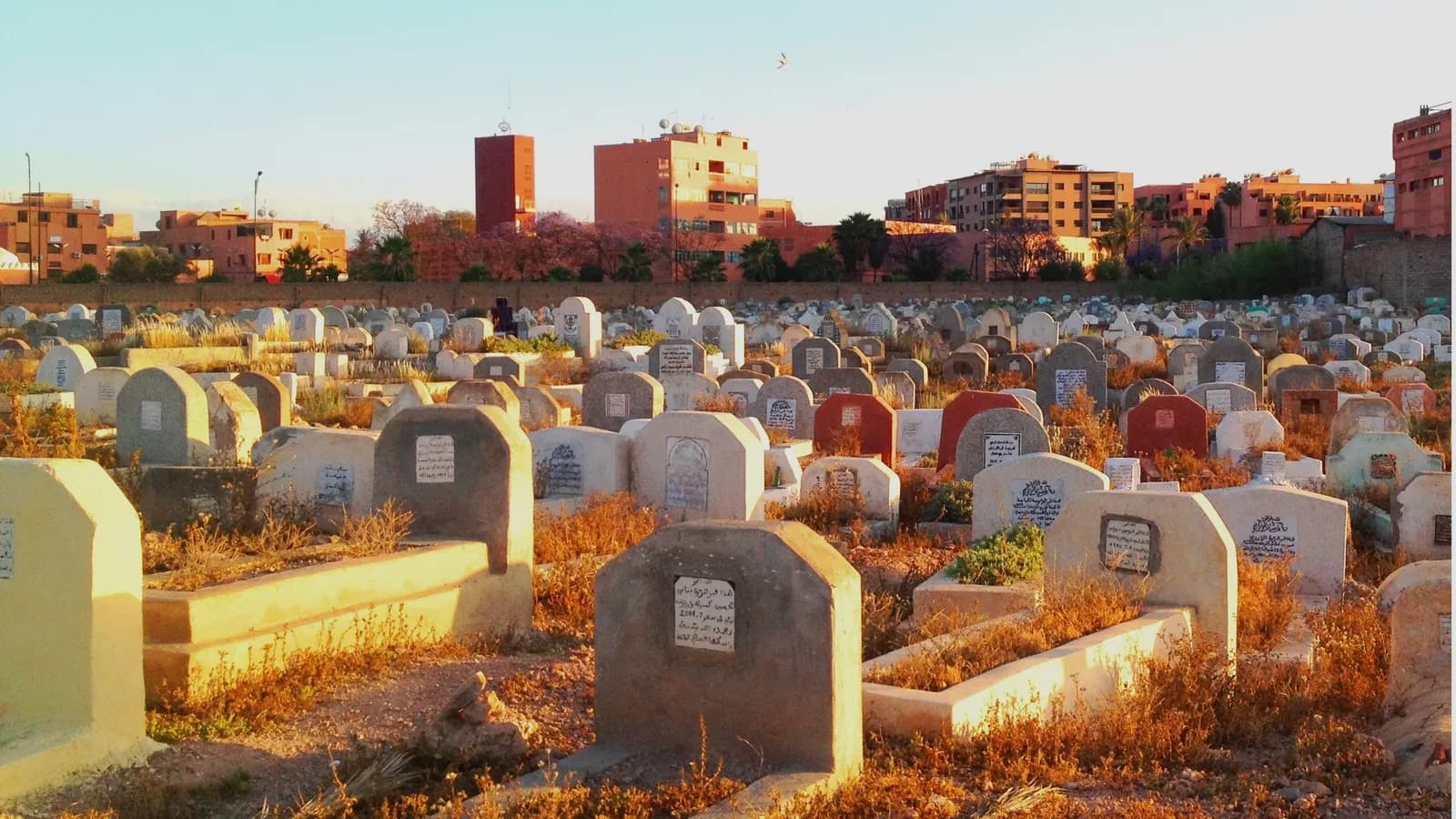 Les tombes blanchies d’un cimetière musulman de Marrakech, dans la lumière dorée de fin de journée
