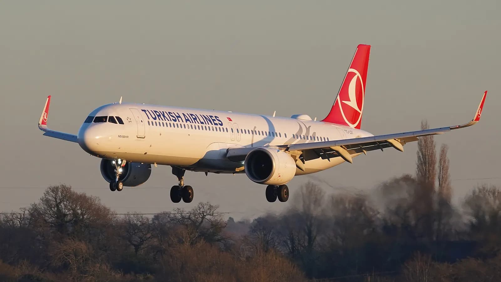 Un Airbus A321 de Turkish Airlines en approche, train sorti, dans la lumière dorée de fin de journée